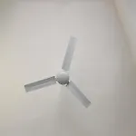 Viabalduini2 *