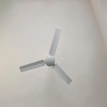 Viabalduini2 *